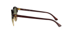 Gafa Ray-Ban 4246 990 51◻19 145 3N - Imagen 3