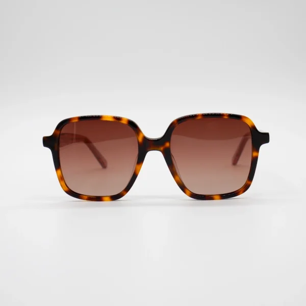 CRISTALESGAFAS WD6020 (3)