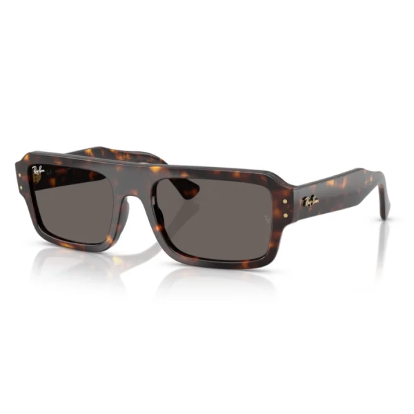 Gafas Ray-Ban 4454