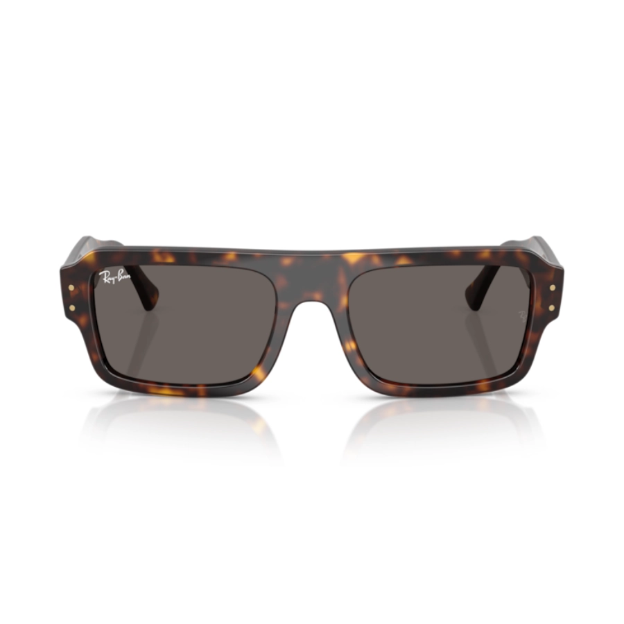 4454 Gafas Ray-Ban 4454