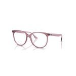 Ray-Ban 4978V