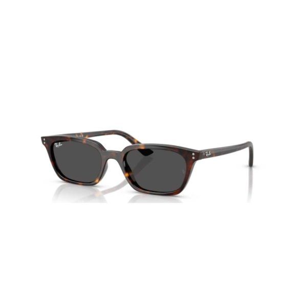 Ray-Ban 4456 ZAYA