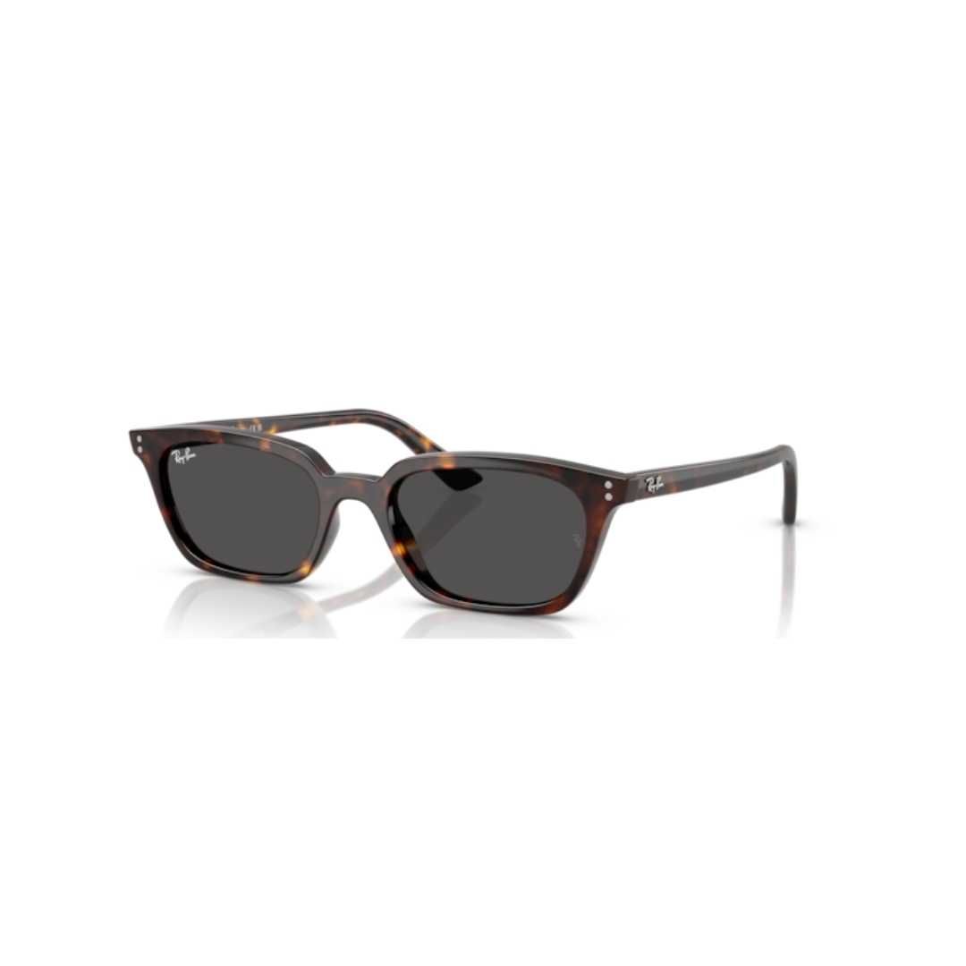 Ray-Ban 4456 ZAYA Ray-Ban 4456 ZAYA