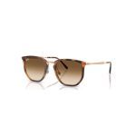 Ray-Ban 4451