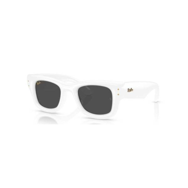 Ray-Ban 4940 WAYFARER PUFFER