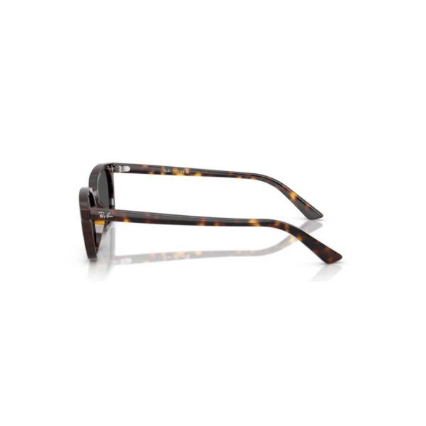 Ray-Ban 4456 ZAYA-1